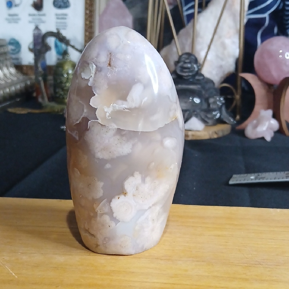 Polished Agate Decorative Accent - Cream and Tan